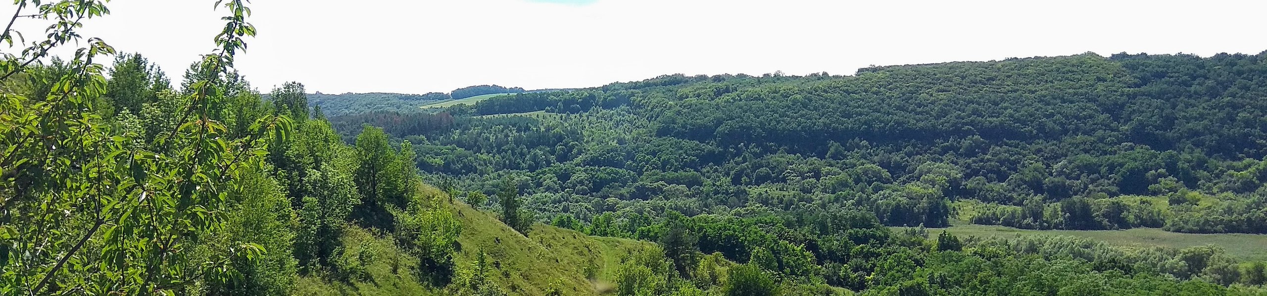 Вид з Марусиного каменя