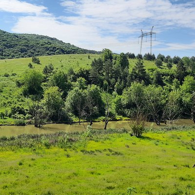 Товтра Сокіл – заказник Поділля
